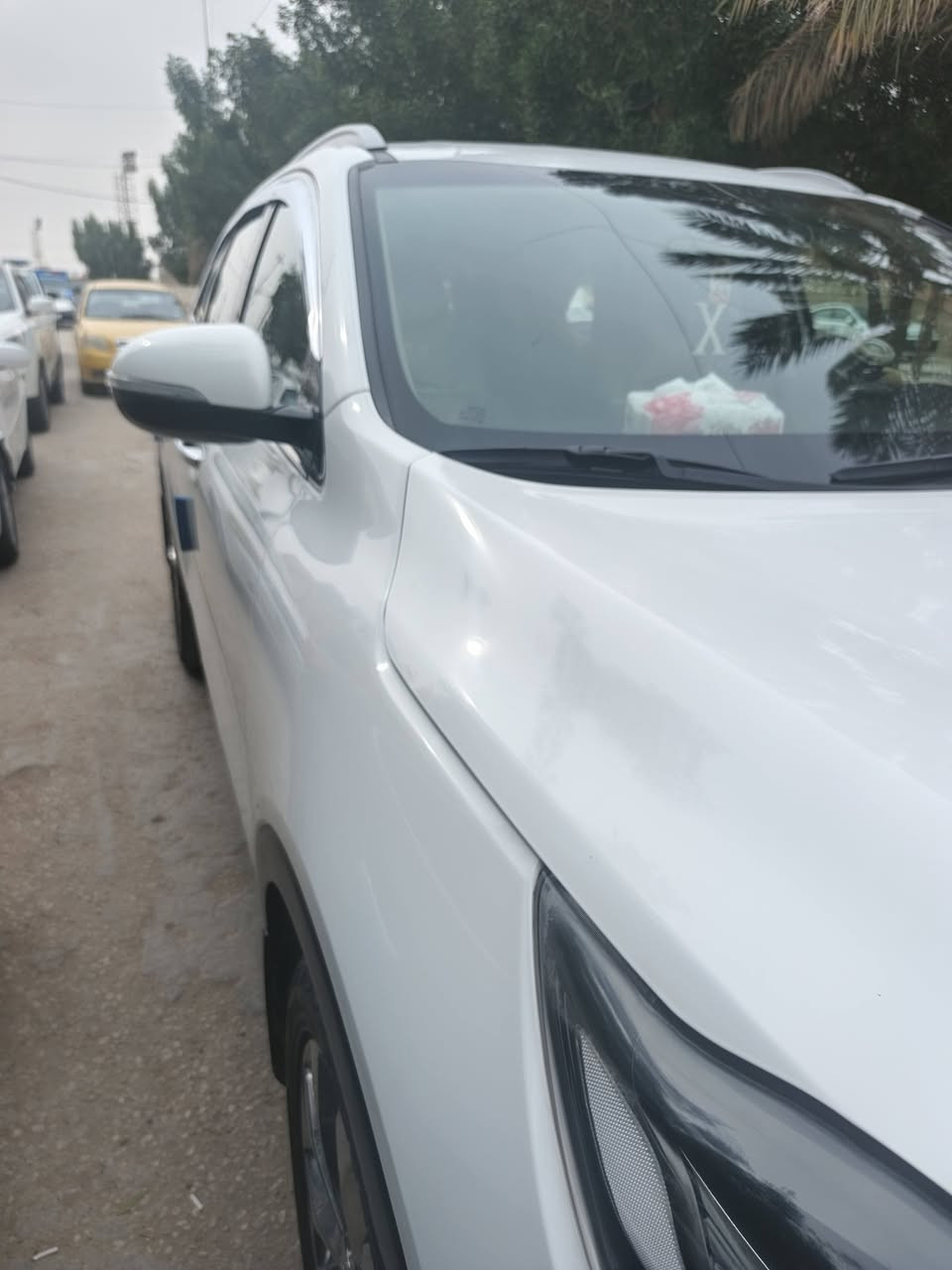 سورنتو البيع موديل ٢٠١٩سياره مكفولة من صبغ بس بارد بلباب الخلفي سياره مكانه نجف والسعر ٢٤٥بيه مجال الهاتف ***********
