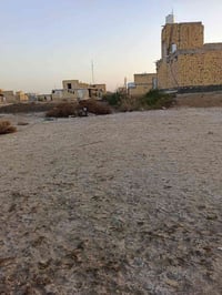 الدفان الجديد • طابو صرف • ٢٥٠م