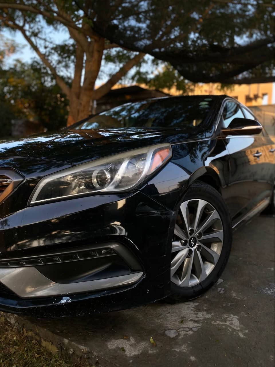 السلام عليكم 
سوناتا 2017 
السيارة وارد مكينة 2400 
ماشية 109 
السيارة جديدة كلش 
مكينة كير كفالة 
شواصي لغود كفالة 
فول موصفات لمتد 
دبل كزوز 
تحكم ستيرن جهتين شاشة كار بلي 
كشنات تدفئة 
مقاعد جلد مطعم مخمل 
السيارة ليبل واحد 
حادثها خلفي فقط وجه السبير و حتى الدعامية نفسها 
ولا قطعة صبغ 
مكانها السيدية 
*********** 
تاخذ السيارة متصرف ربع
بانزين كله محسن 
دهن اكسادو بغداد, العراق
