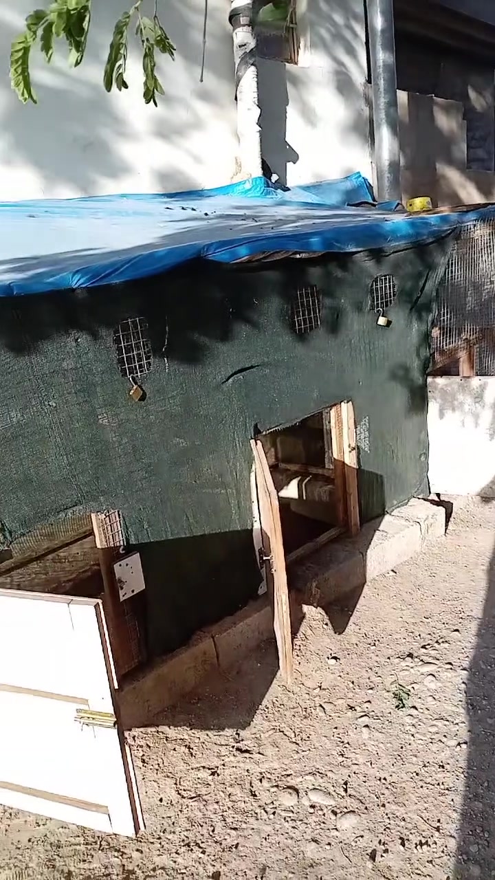 ئەو قەفسە بۆ فرۆشتن دوو نەوع تەلی لێ دریاوە بەشرت بێ عەیبی ژ.م *********** ناونیشان کەلار
