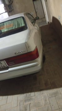 بطة فصل • مكفولة • كفالة عامة