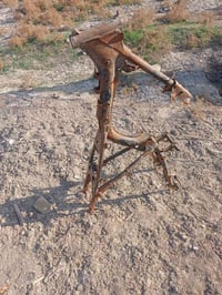 شاصي ايراني • الناصرية • قضاء الصلاح