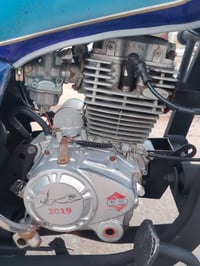 ستوته • ٢٠١٩ • شرط الفحص