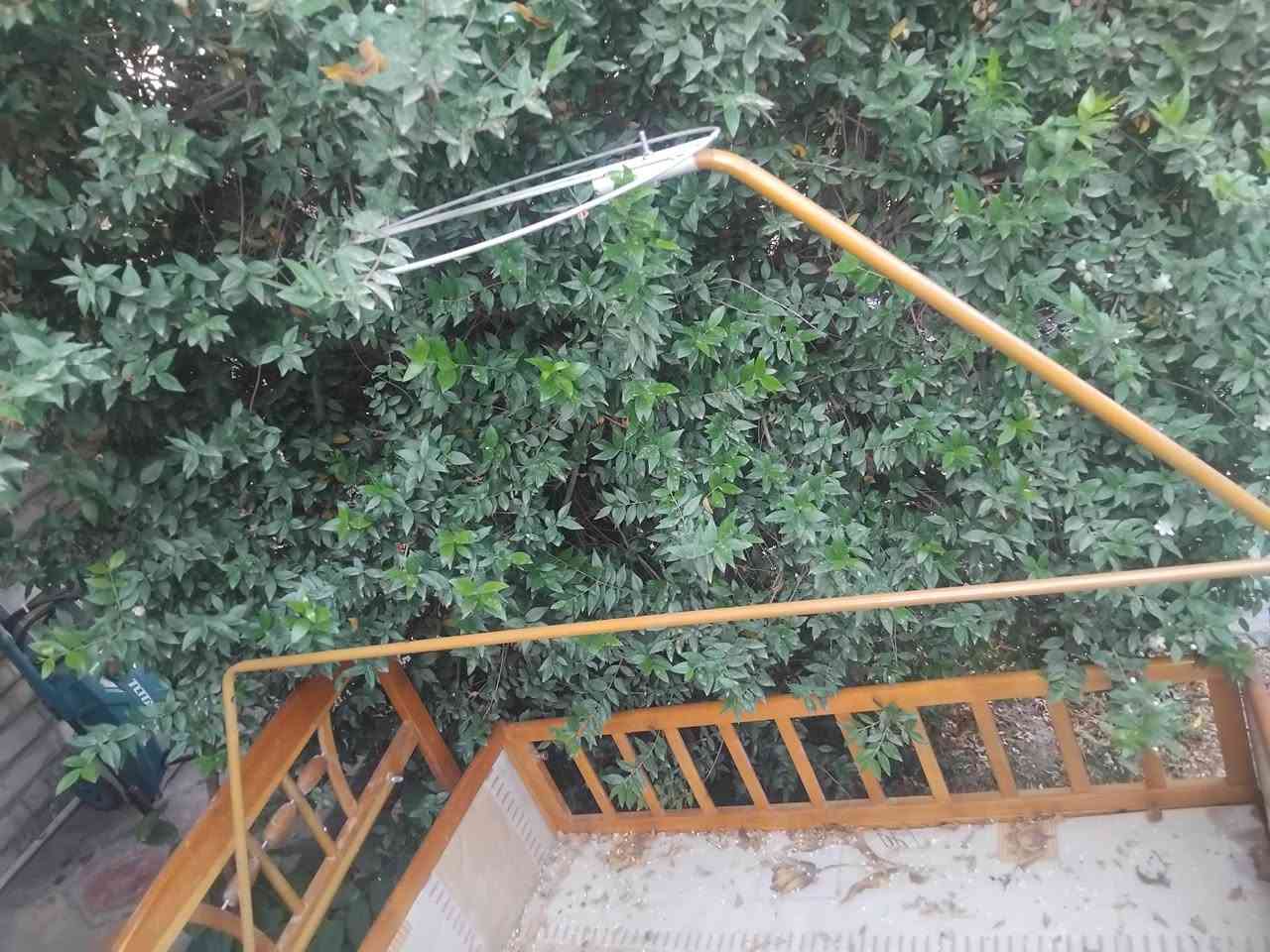 سلام عليكم كاروك طفل تصميم كلاسك يرادله شويه ترتيب وتضبطه مابي اي نقص سع.ر    ٢٥  الف 
مكاني معالف شارع دكتور حافض رقم الهاتف ***********
واتساب او هاتف ثنينهن متوفر
