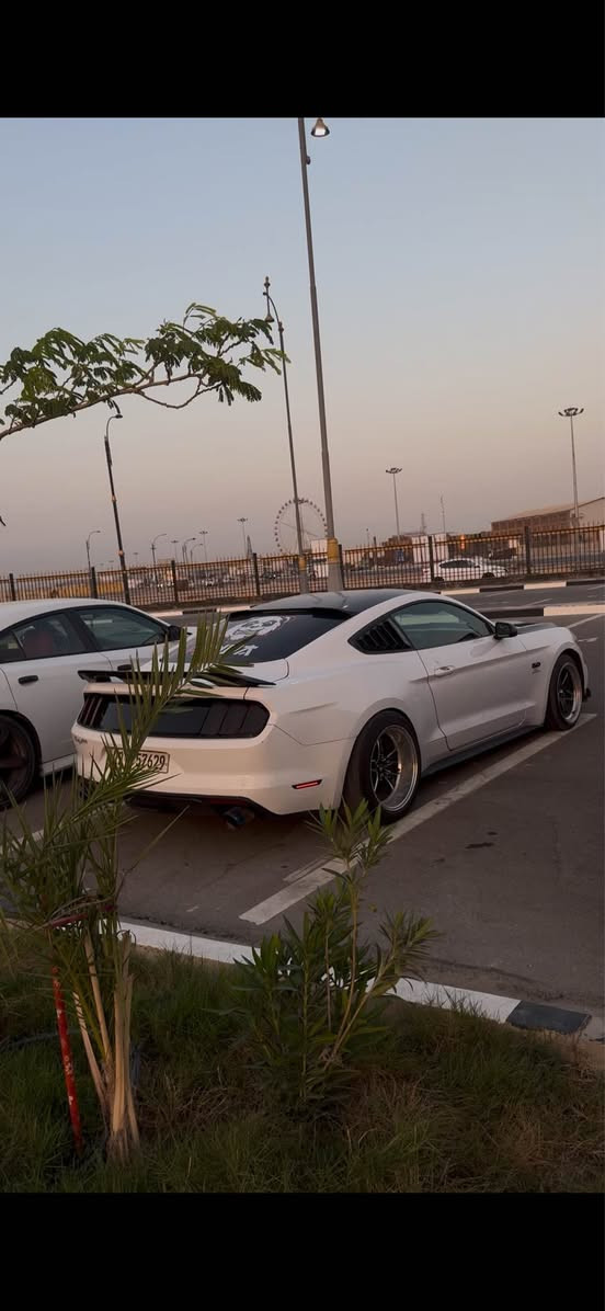 موستنك  2017
v6 كير عادي 

لايتات متغير اللوان +عدسات
شاشة فول مواصفات
اضاءة بالدشبول 
دمام صوت 
اكتف كزوز و تفريغ اكس بايب
عليها ٣ برمجات قوية 
بنيد محدث فايبر 
ضربتها مرفقة بالصور و صار عندي جاملق خلفي عكس السايق 
لا شاصي لا لغد

و بقية المواصفات مبينة بالصور 

رقم شمالي باسمي  تحويل ثاني يوم 
سنوية تنتهي بال٢٠٢٩

السعر ١١٥ 
مكاني بصرة 
*********** البصرة, العراق
