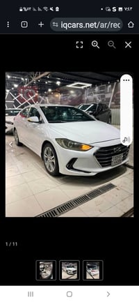 النترا • ٢٠١٧ • رقم أربيل