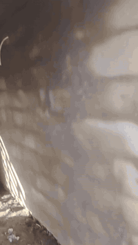 متفرغين حالين من كربلاء حته محافضات نشتغل عل يوميه ***********
