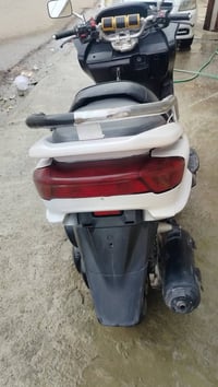 ماجستة • مكينة معمرة • مصبوغ