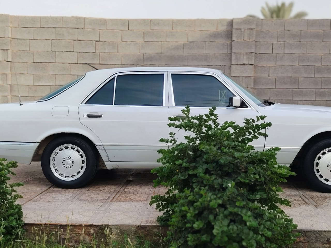 السعر 45 قفل 

مارسيدس رئاسي لون ابيض موديل 1989 بغداد باسمي ثاني يوم احولك سياره كير مكينه بلادي عنكبوت سياره بيها نواقص كمبريسر تبريد وبيها نقص كماليات
السعر قفل 45 مكاني رمادي حصيبه الشرقيه رقم صاحب السيارة *********** اي تفاصيل اتصل وادلل مستعجل على بيعتها
