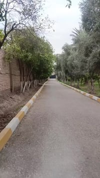 مزرعة للأيجار والمناسبات سعر جداً مناسب 💸🔥 الدورة البعيثة للتواصل 0776...