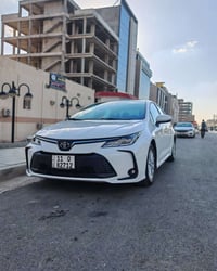 الاستفسار 07838880387