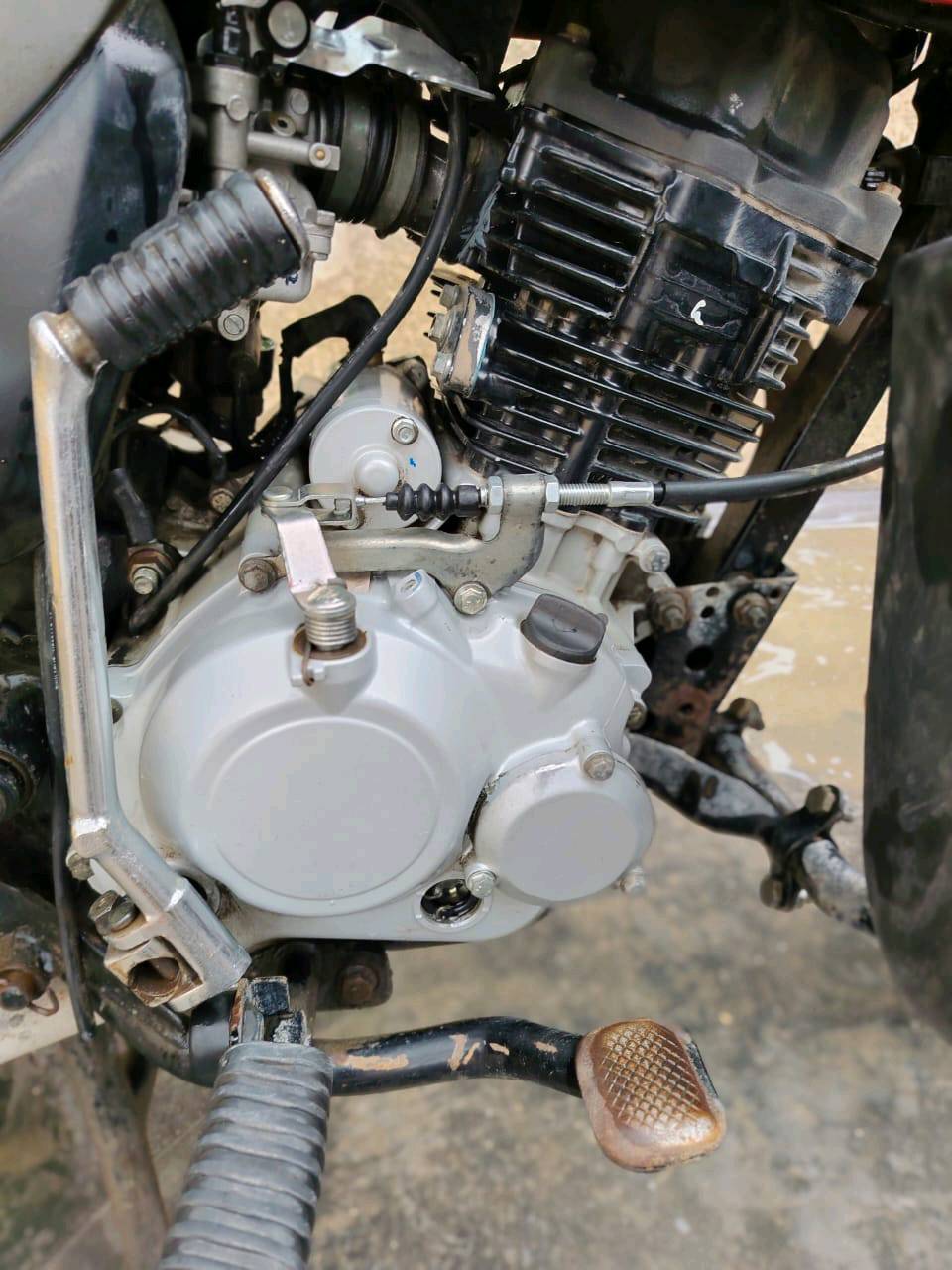 السلام عليكم دراجه بوكسر موديل 2021 شهر 11 شكل 2022 دراجه مكفوله من محرك شاصي كهربائيات دراجه خير من الله مجفته تجفيت جديد اجزاء المحرك كلهه مبدله كلفني 525000 ما عفت شي ما بدلته جديد يم بوكسر زيونه ضمان مدى الحياه على الغراض تحويل مباشر ثاني يوم ارقام انكليزيه طالعه بس تستلمهه سنويتهه لل28 عداد الكتروني الدراجه تشغل و تطلع وين ما تريد بس دبلاتهه شويه تعبانات يرادلهن تجفيت ب30 الف الباقي خير من الله 

السعر مليونين و ربع (2.250.000)و بيهه مجال
مكاني بغداد شهداء العبيدي
واتساب/***********