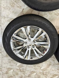 تخم ويل وبامأ مكسيكي ابو المعه القوية حجم 18 البيع07819622427