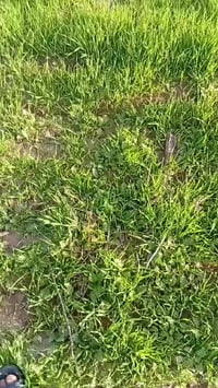 منطقة العيسى • أرض ٢٠م