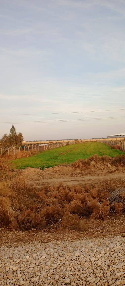 سلام عليكم ورحمه الله وبركاته
دونيمن للبيع. طريق حمزه ديوانيه شارع عام طريق الزوار سايدين

🩸خدمات الأرض 

🌟..كهرباء 
🌟..مايي سقي  
🌟..مسيجه الأرض 
🌟..موكب بين شارع والقطار  
🌟..الارض صالحه للزراعه 
🌟.. موقعه ممميز بصف معمل 
🌟..الأرض طابو سند 25مداور باسم مشتري 

الاستفسار تصال على الرقم لو مراسله واتساب 
***********
