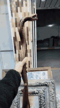 للحجز والاستفسار مراسله الصفحة أو الاتصال على الرقم *********** واتساب
