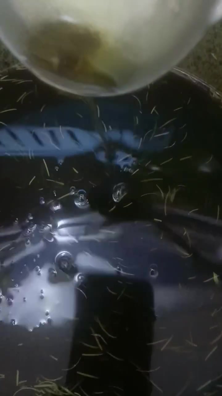 وجبة جديدة من اكليل الجبل المخمر الي علاج العديد من الحالات الشعر


**إذا كنت صاحب هذا الإعلان وتريد حذفه لأي سبب، رجاءا أرسل رسالة إلى الدعم الفني**