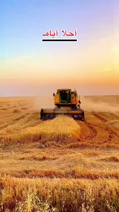 يالله توفرت حاصودة زراعية لحصاد المحاصيل الزراعية الحنطه والشعير باسعار رمزية ومناسبة كافه انحاء واسط توصلك الباب مزرعتك وشرط الحصاد الدرجه اولى ‏‪0781 700 0155‬‏ Al-Krishi Al-Krishi
