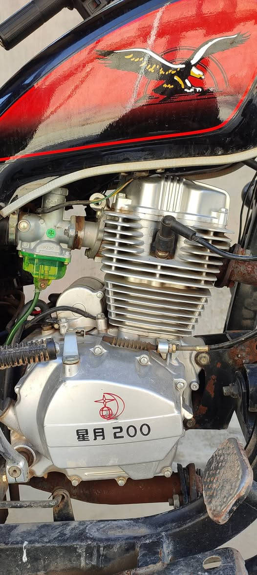 ستوتة للبيع مكان ديالى جلولاء سنوية ورقم نظافة ركبة شرط شغالة فوول شادلها باتري سيارة جديد اويالة عريض محرك 200 رقم موبايل ***********
