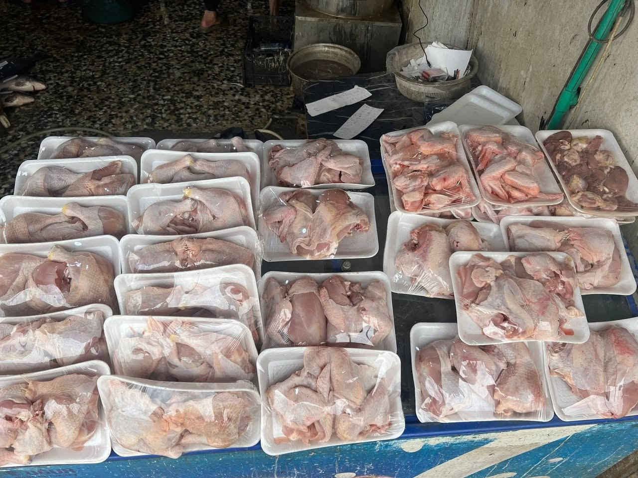 تعلن اسمك ودجاج احمد الجبوري عن تخفيضات كل يوم من السبوع
سعر كيلو السمك بدون شوي (5500) سعر كيلو السمك مشوي (7000)سعر كيلو الدجاج (3500)سعر كيلو الدجاج المقطع (5000) معلينة بل دولاراحمد الحنين الله يديمك يا رخص سمچة سودة مال رضوانية ومسيب امانة الله ورسولة بسعر الجملة دجاج عراقي مال يوسفية رقم واحد 🌹❤️

للتواصل مع الحجز او التوصيل التواصل مع الارقام التالية 

***********

***********

ومن الله التوفيق للجميع#الكل
