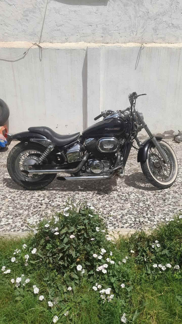 شادو سلاشر 400cc موديل 2006
بدون اوراق 
داخلة للعراق 2016 مكينة كير مكفولات 

نقوصات أمرايات اشاير صفاحيات

 عداد اضوية تشتغل  السهم ميصعد 

مكاني بغداد الدورة السعر مليون و نص


**إذا كنت صاحب هذا الإعلان وتريد حذفه لأي سبب، رجاءا أرسل رسالة إلى الدعم الفني**