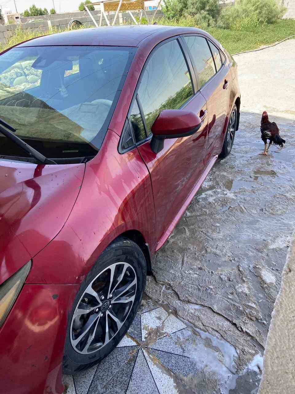سلام عليكم سياره البيع كورله مديل 2022 معوقين مكينه وكير جدد تبريد ثلج ❄️ باتري جديد تخم تاير لايتات زنون راعيه موجود يسوي وكاله بل البصره سعر. 118 العنوان البصره الشعيبه رقم *********** انا مكلف بل نشر
