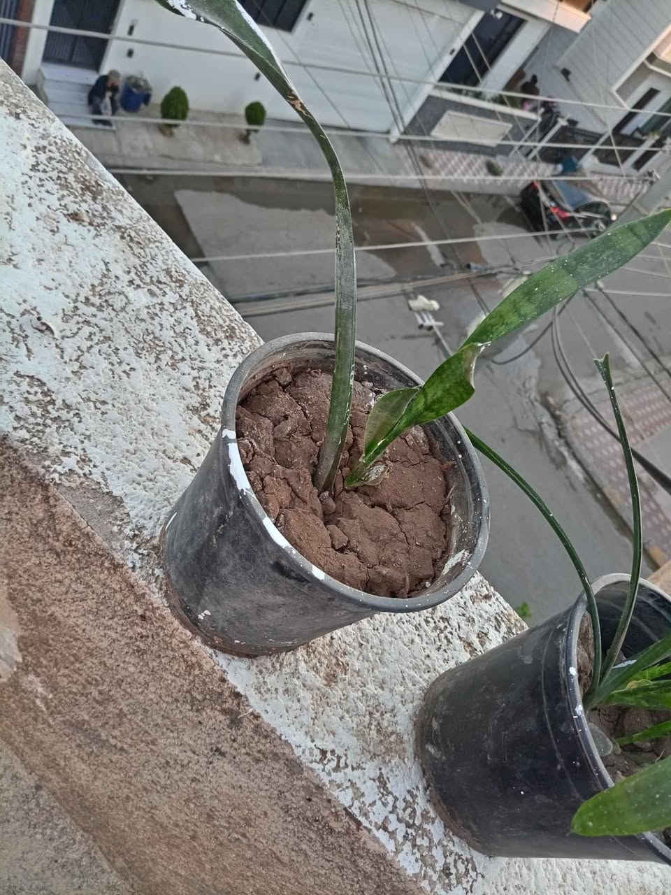 بۆ فرۆشتن السليمانية, العراق


**إذا كنت صاحب هذا الإعلان وتريد حذفه لأي سبب، رجاءا أرسل رسالة إلى الدعم الفني**