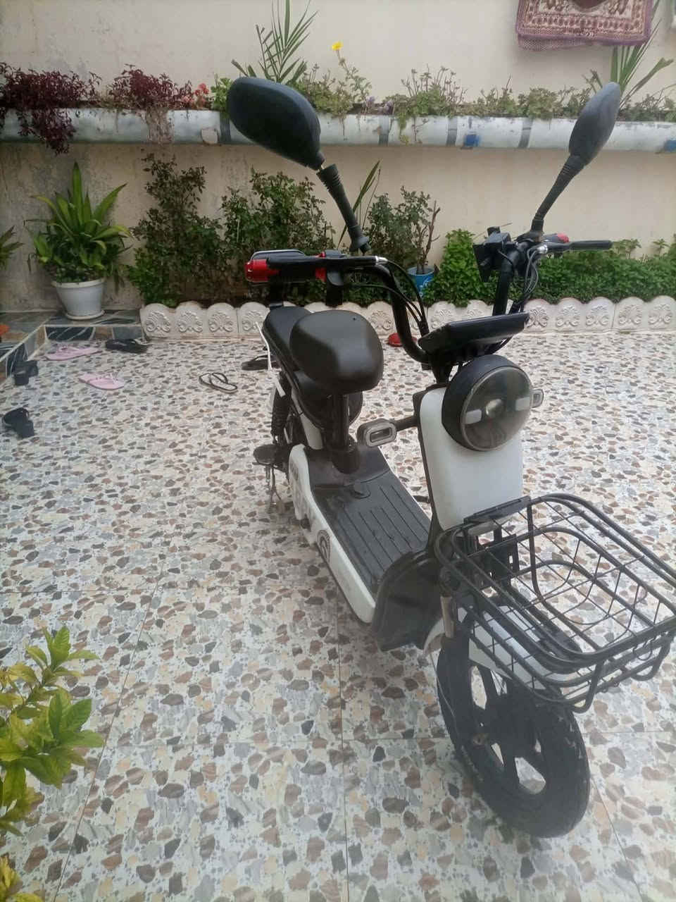 ئەم پاسکیلە شەحنە بۆفرۆشتن زۆر پاک و تازەیە لەسموودە نرخی ۲٥۰هەزار و مەعمەلە


**إذا كنت صاحب هذا الإعلان وتريد حذفه لأي سبب، رجاءا أرسل رسالة إلى الدعم الفني**