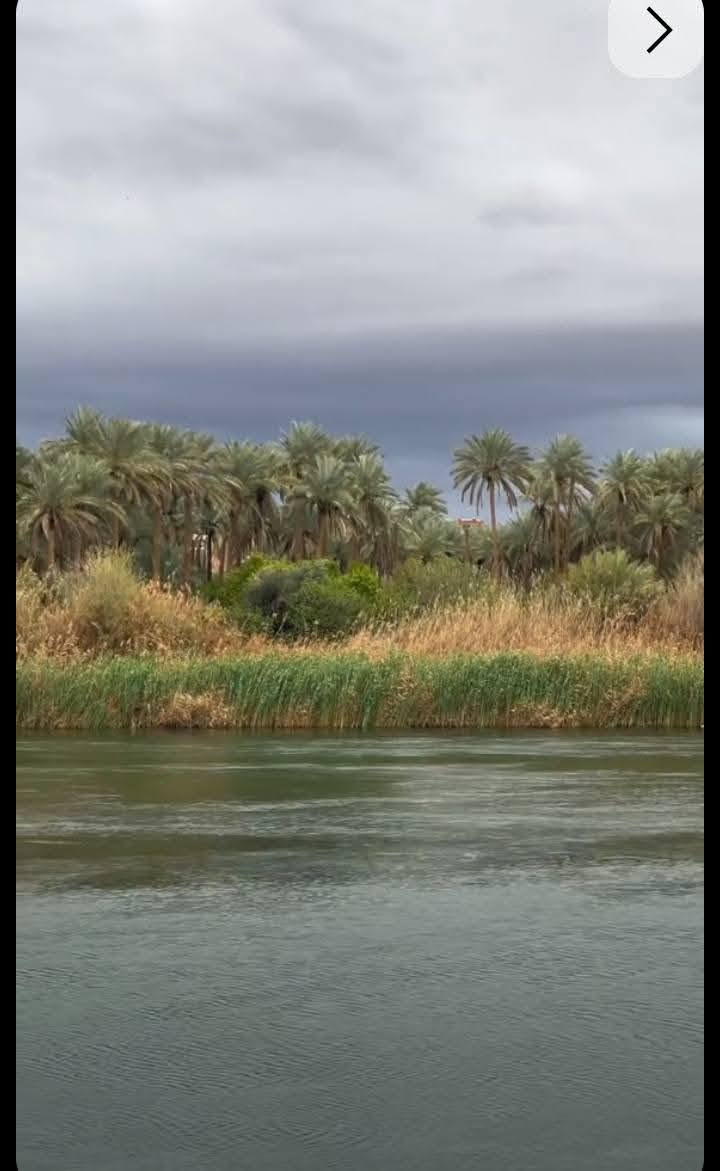 كاع 28 دونم 891 واك
وجه 167متر نزال 174متر تحتوي على 4 بيوت واجه على نهر روائي 
وخلف الأرض اكو نهر ماء حلو بيها 250 نخله وكافة الخدمات تبعد عن طريق بغداد كربلاء كيلو ونص تبليط طابو زراعي سند 25 بسم ابو الكاع نفسه  سعر الدونم 80 مليون  للاستفسار الاتصال على الرقم *********** كربلاء, العراق

