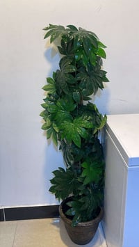 ديكور • حديقة • ٥