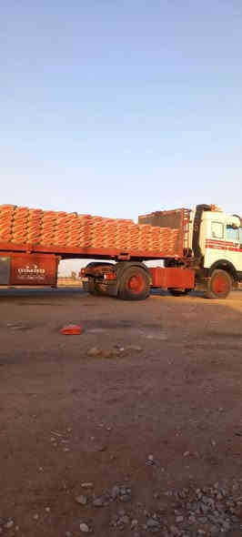 البيع رأس البي ***********
