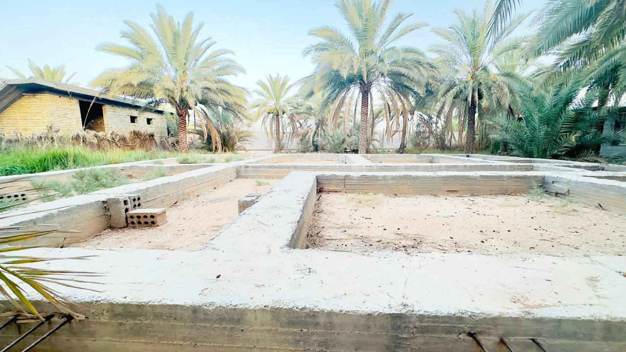 بستان 2000 متر مسيج طابو زراعي سند 25 على طريق بغداد كربلاء عامود 301 تبعد عن الشارع العام 800 مترمتوفره ماء وكهرباء ومولد بيها بتلو مساحه 250 متر للتفاصيل واتساب ***********
