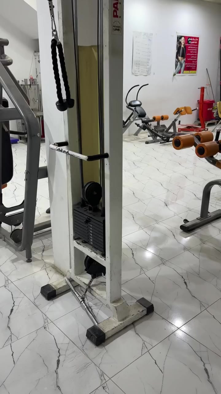 متقابل بنتا سعر كلش مناسب 3 اوراق


**إذا كنت صاحب هذا الإعلان وتريد حذفه لأي سبب، رجاءا أرسل رسالة إلى الدعم الفني**