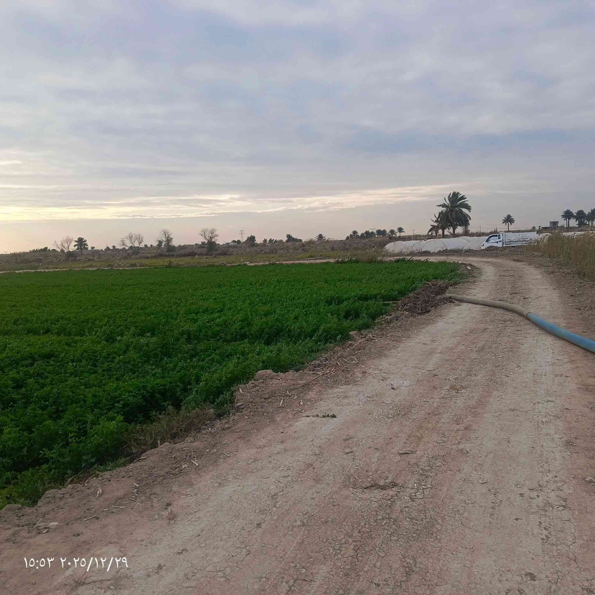 ٤ دوانم اوقاف في قضاء المدائن
#الجميع ***********
