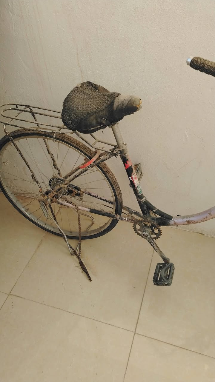 سلام عليكم بايسكل ب ١٠   غساله ب ٣٠٠ وبيها مجال


**إذا كنت صاحب هذا الإعلان وتريد حذفه لأي سبب، رجاءا أرسل رسالة إلى الدعم الفني**