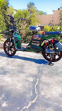 بايسكل شحن • ٢٠٢٥ • ٥ بطاريات