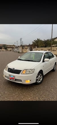 كورلا بيكاجو • ٢٠٠٧ • قطعه صبغ