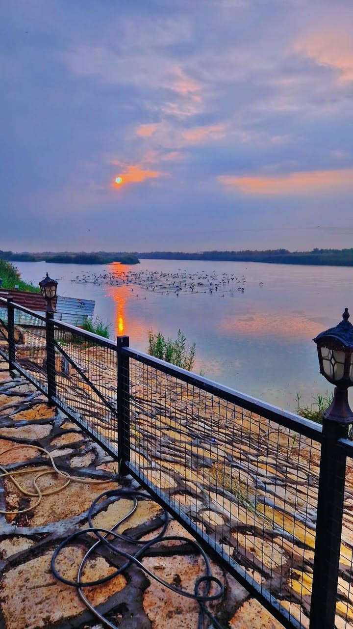 مزرعة كاردينيا بغداد المدائن للإجار اليومي علئ نهر دجلة مسبح مغلق حار بارد ***********
