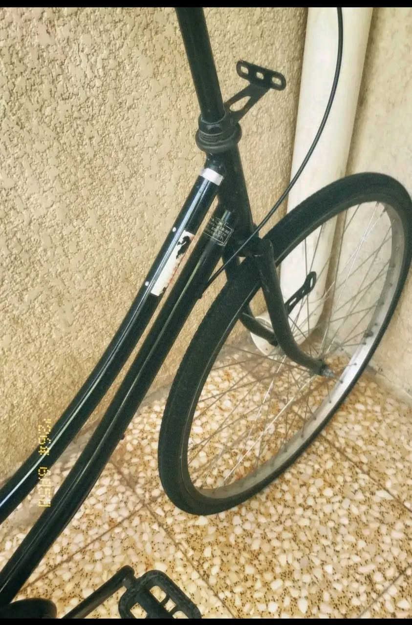بيسكل للبيع شركة سانتوس سعر ١٢٥ بي مجال مكلف بنشر


**إذا كنت صاحب هذا الإعلان وتريد حذفه لأي سبب، رجاءا أرسل رسالة إلى الدعم الفني**