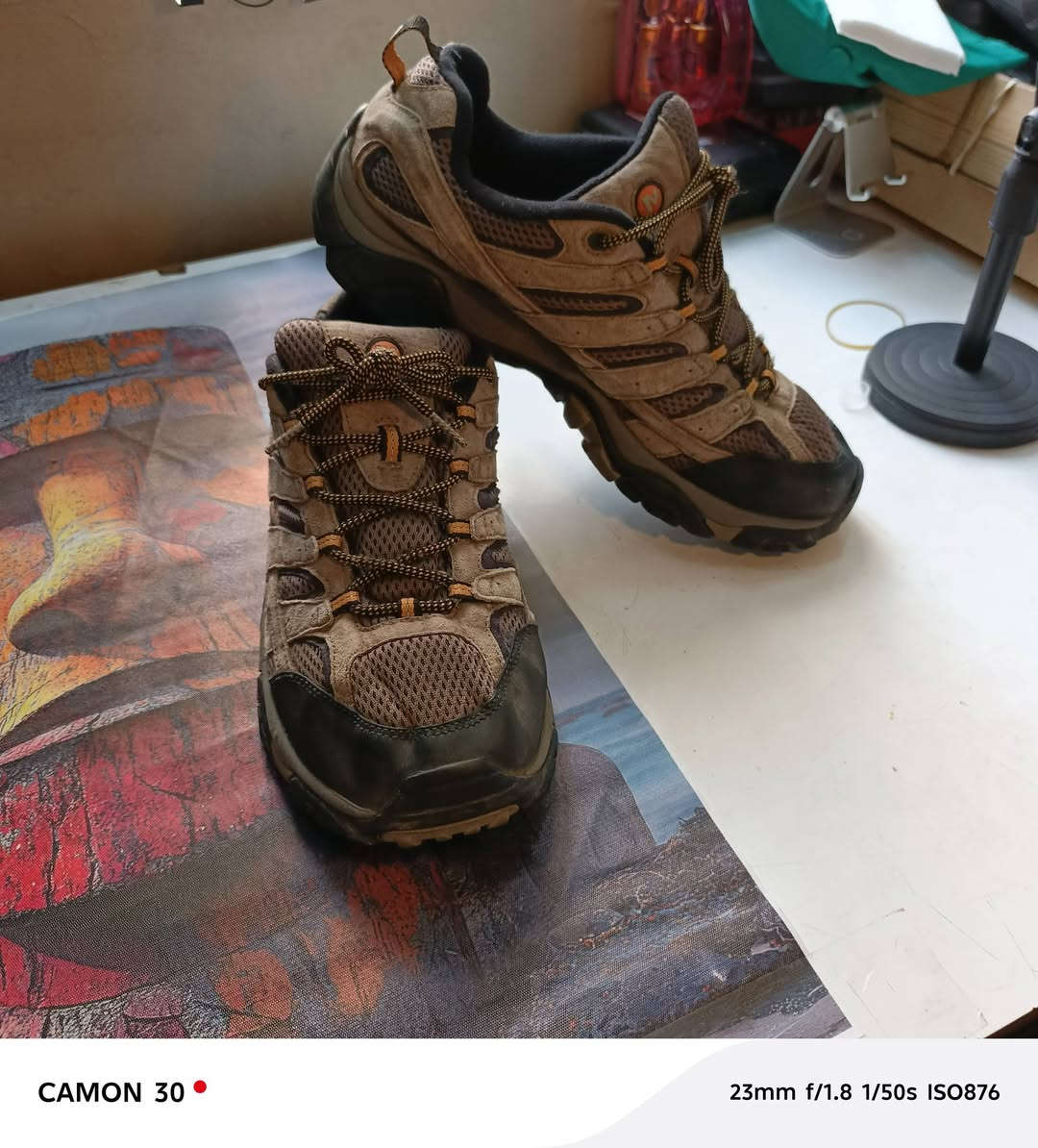 حذاء ميريل مواب (Merrell Moab) الشهير للمشي لمسافات طويلة، والمصمم لتوفير الراحة والمتانة  امريكي اصلي اصلي ٤٤  +٤٥


**إذا كنت صاحب هذا الإعلان وتريد حذفه لأي سبب، رجاءا أرسل رسالة إلى الدعم الفني**