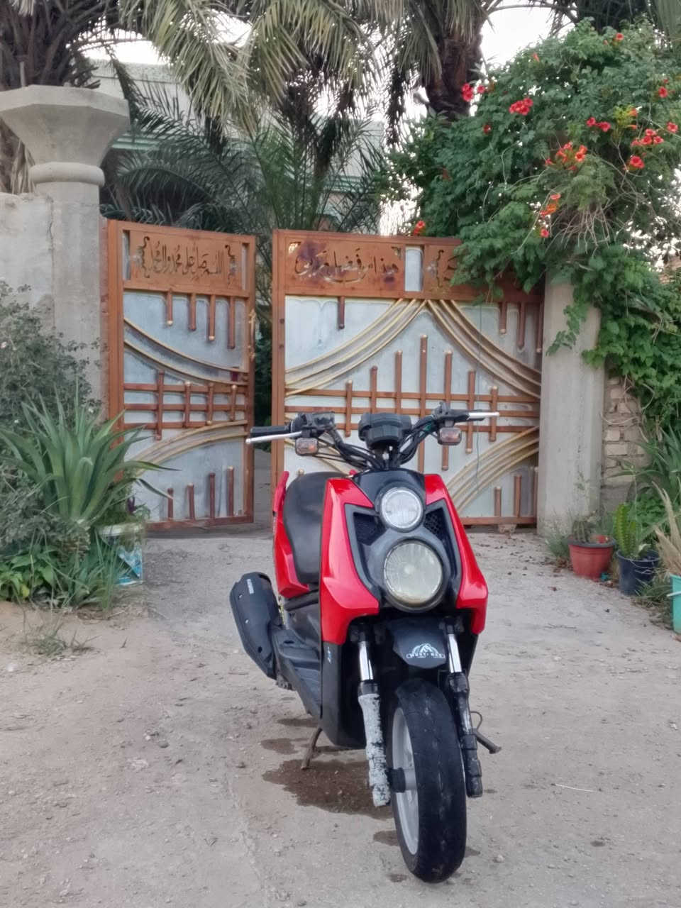 سكنس جبلي للبيع 
السعر خاص
الدراجه بيه نواعم 
كلجات رياضي 
معدل تقفل 130 لو25
مكانك بابل قرب مستشفى المحاويل


**إذا كنت صاحب هذا الإعلان وتريد حذفه لأي سبب، رجاءا أرسل رسالة إلى الدعم الفني**