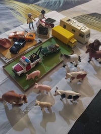 سيارات • شلايش • قط إنجليزي