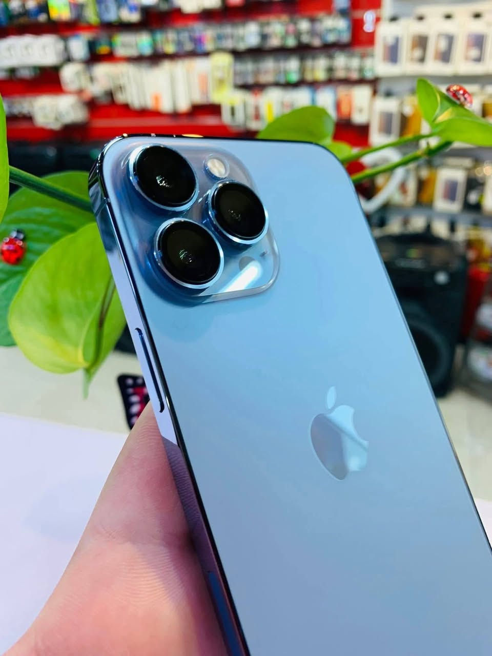 #مستخدم 🔥 عربي شرق أوسط 

📱 iPhone 13 Pro Max 📱

👈👈السعــــــر / 765 الف 👉👉

💎 الذاكــــــــــــــــــــره / 256

💎 البطاريـــــــــــــــــــــه /85 🔥

#متابعه_للصفحه_يوصلك_كل_جديد😍

____________________________________________
    🔄يرهم 🔄مراوس🔁 ويه اي جهاز🔁 عندك 
قديم او حديث🔁

🏅ضمان 🏅أسبوع 🏅من تاريخ الشراء🏅

التوصيل متوفر لجميع المحافظات 💨🚙

    📌العنــــــــــ🫵ـــــــــوان📌

  🔥 مركز الاسطورة للموبايل 🔥

📌الأنبار عنه مجاور مستشفى عنه العام📌🏥 

***********واتس
***********
اذا عجبك منتج فقط عنوانك ورقمك وصوره للمنتج عل واتس 
ثاني يوم يوصل الك لباب بيتك👍
____________________________________________

 #الاسطورة_للموبايل_لخدمات_الموبايل #العراق🇮🇶 #العراق #بغداد #اربيل #البصرة #دهوك #سليمانية #بابل #الانبار #الرمادي #الناصرية #كربلاء #هواتف #موبايلات #اكسسوارات #anker #سامسونج #حافظات #فولو
