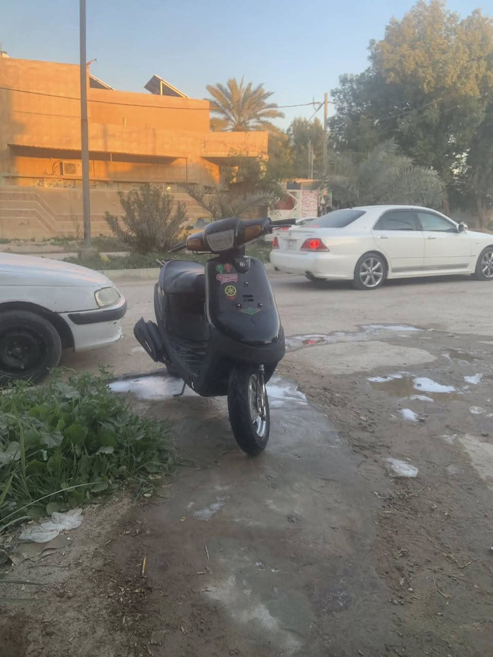 للبيع السعر ٢٥٠ بيه مجال كلش قليل حك الجيه  العنوان نجف ابو صخير


**إذا كنت صاحب هذا الإعلان وتريد حذفه لأي سبب، رجاءا أرسل رسالة إلى الدعم الفني**