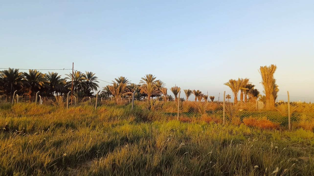 ◽ نصف دونم للبيع في كربلاء
المساحه الف وميتين متر 1200 

 في كربلاء المقدسة، على جهة باب طويريج، قرب قناة كربلاء  يبعد عن الشارع الرئيسي قريب على مدينة الزائرين .
 (واجهة 23 ونصف متر)
الملكية: طابو 25 – تحويل سهم مباشر للمشتري
يحتوي على ، كرفان، بئر ماء مع غطاس
توفر الخدمات بالكامل (كهرباء، ماء، ومولد قريب)
 محاط بـ BRC ومثبت الحدود
 قريب من منطقة سكنية

• الاستخدامات الممكنة:
 بناء فيلا أو دار سكنية
أو دار لاستقبال زوار الإمام الحسين (ع)
أو أي إستثمار اخر

السعر 65 مليون وبيهه مجال قليل

 للاستفسار الاتصال على الرقمين:
 ***********
***********
