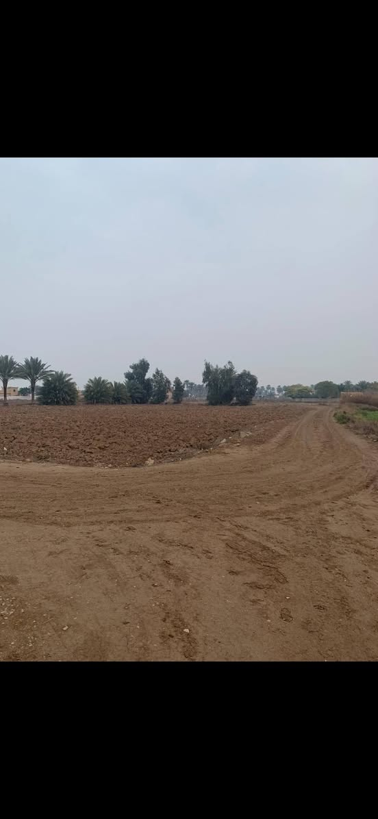 ارض للبيع 2 دونم 
 زراعي سند 25
الموقع قرية المراسمة 
قريب من الفوج الألي الاول للتحادية
*********** واتساب
