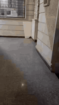 مشتمل • الورار • غرفة وصالة