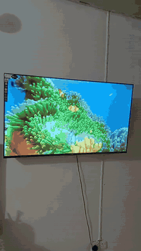 سلام عليكم بلازمه البيع صار يومين ستخدام فقط الله شاهد حجم 50 شاشه حلوه دقه فور كي HD تفتح قنوات مشفره لعبات مال طوبه سينمانه شاهد سعر 350 كلشي موجود ملحقات صار يومين ستخدام فقط *********** عنواني بصره
