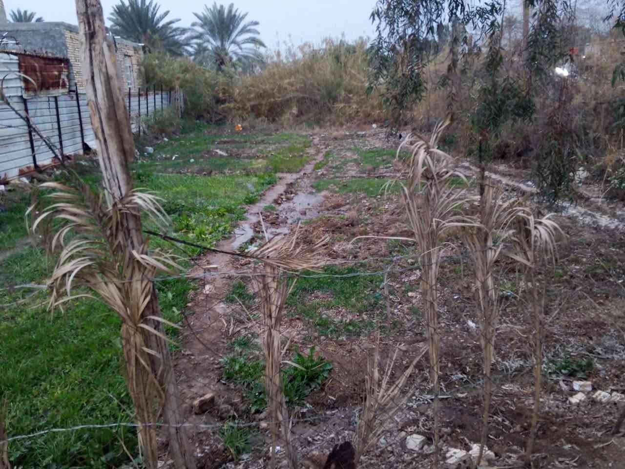 كاع1000مترمع مشتمل  سند 25للبيع
#المكان النصيفه نزلت رائد داوي السعر 35وبيها مجال
الاستفسار الاتصال على الرقم *********** ع واتساب
