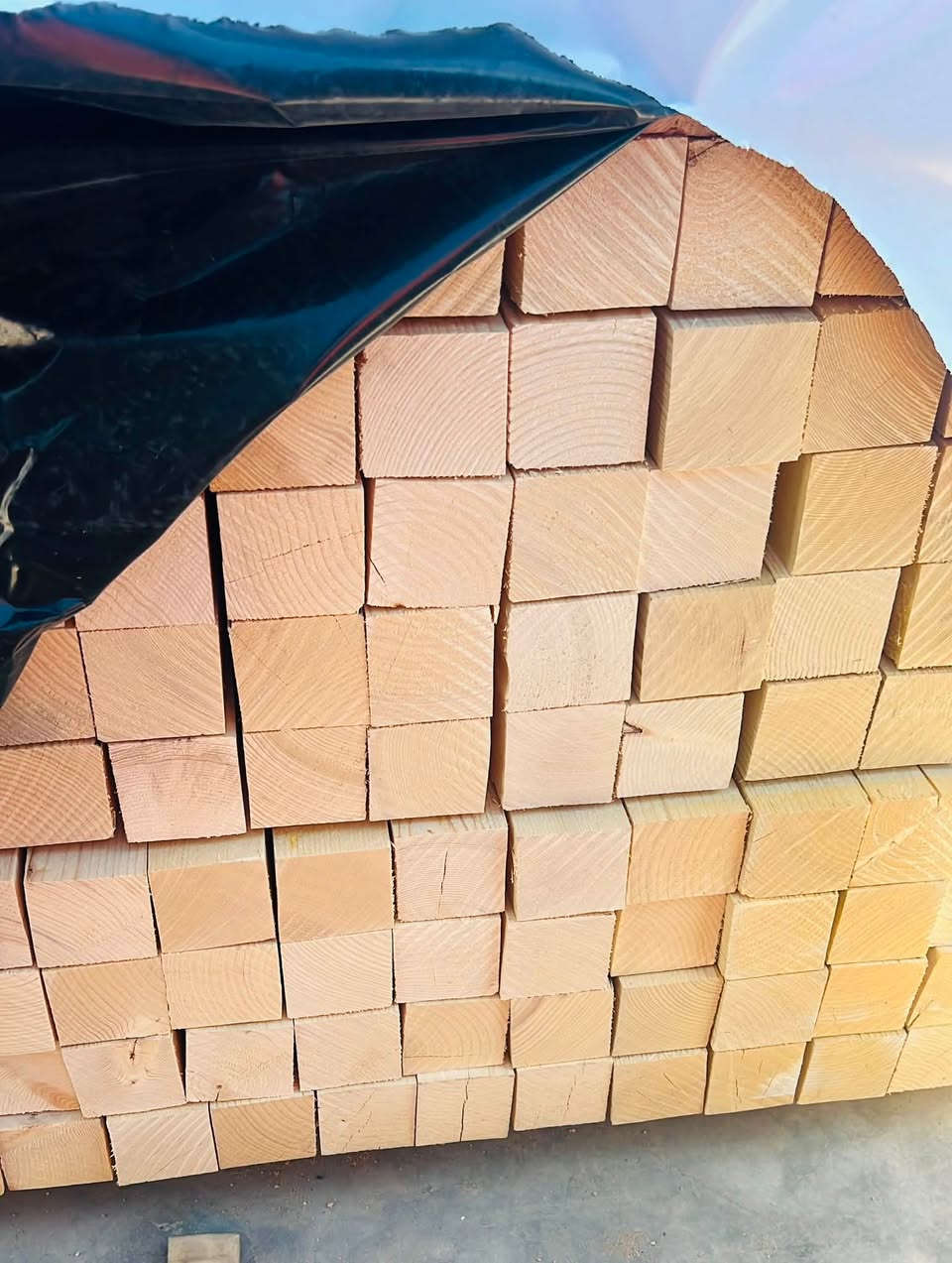 سير 3x3طول 3متر

الماني 
***********
***********
